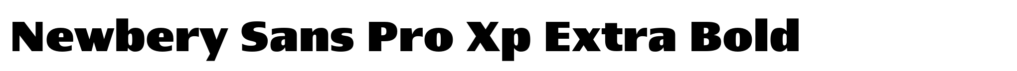 Newbery Sans Pro Xp Extra Bold image